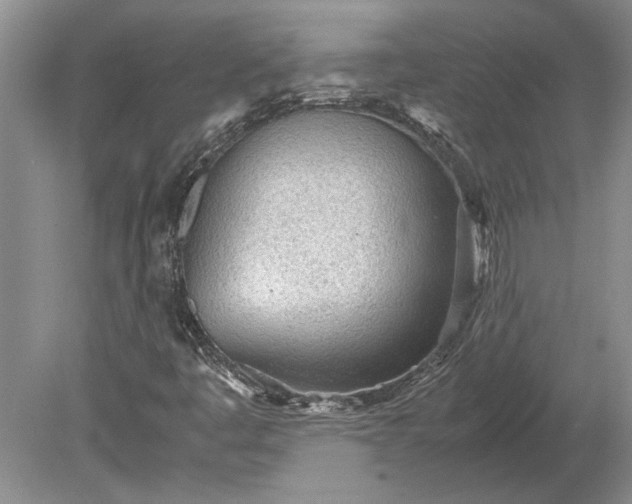 X0000079301445200612011737