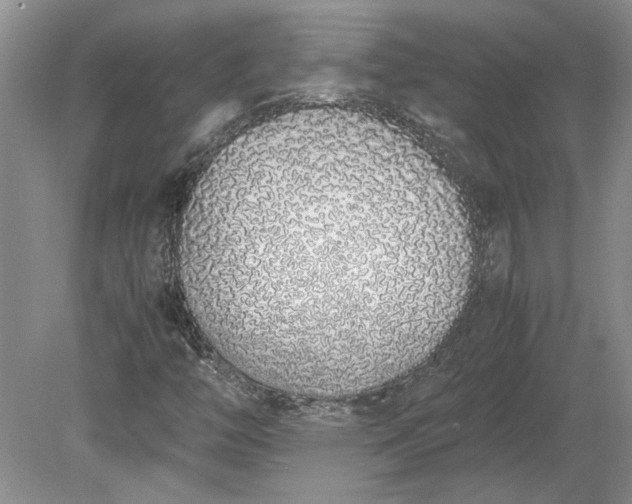 X0000079301446200612011737