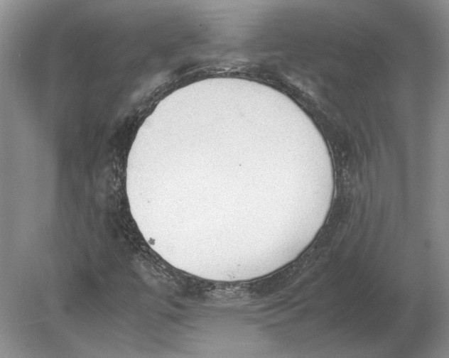 X0000079301447200612011737