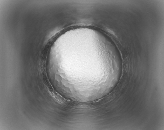 X0000079301448200612011737