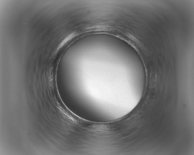 X0000079301450200612011737
