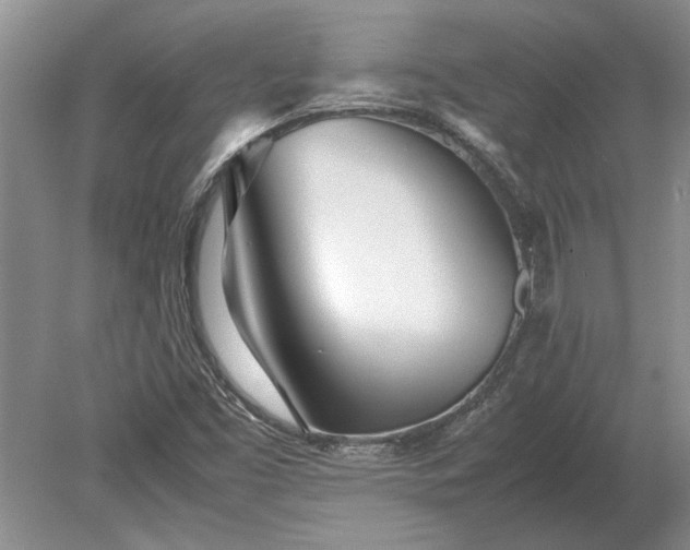 X0000079301453200612011737