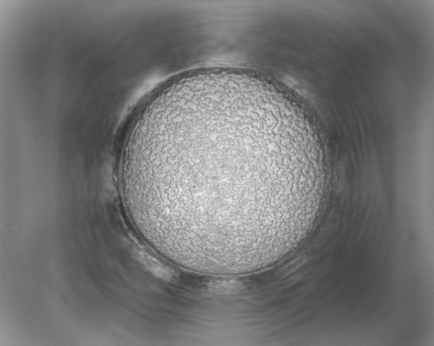 X0000079301454200612011737