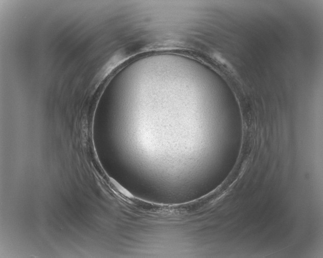 X0000079301457200612011737