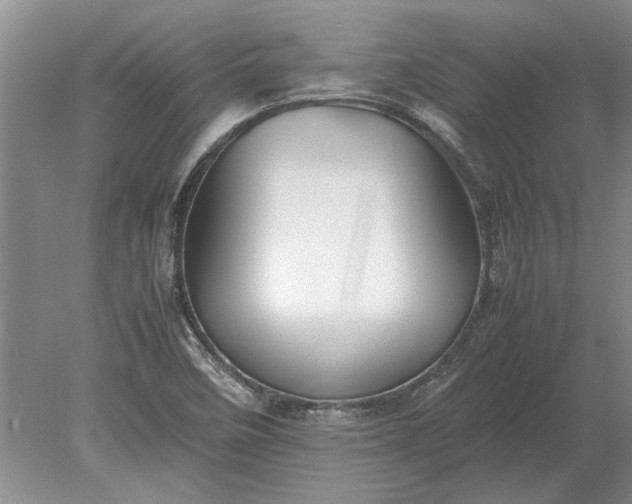 X0000079301458200612011737