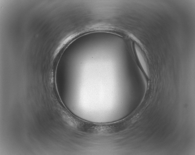 X0000079301461200612011737