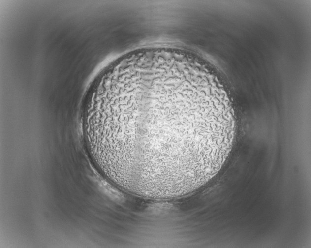 X0000079301462200612011737