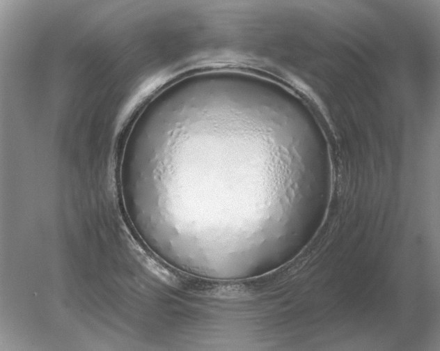 X0000079301464200612011737