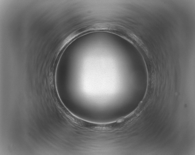 X0000079301465200612011737