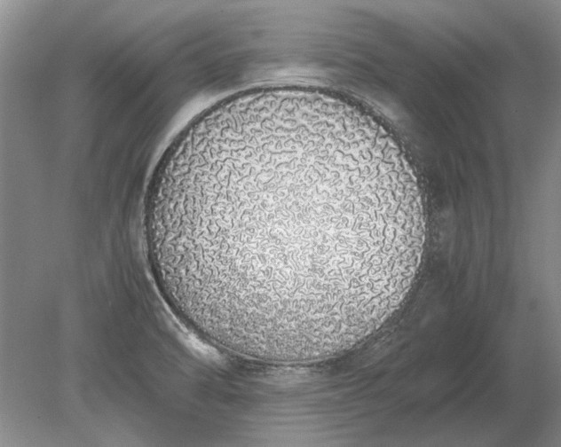 X0000079301470200612011737