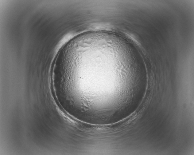 X0000079301471200612011737