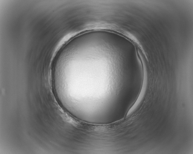 X0000079301472200612011737