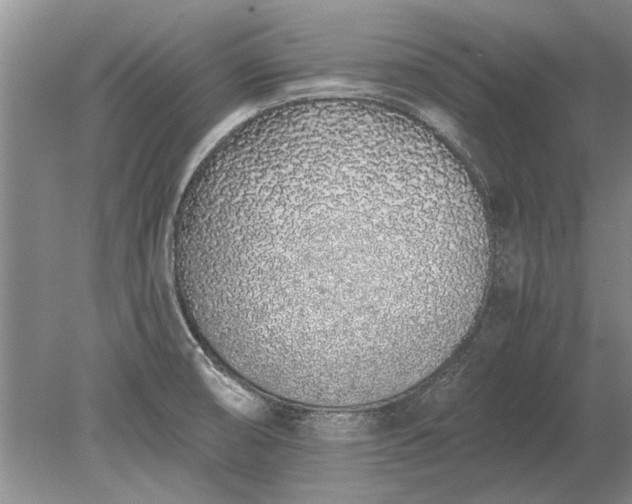 X0000079301474200612011737
