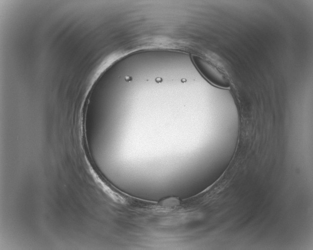 X0000079301479200612011737