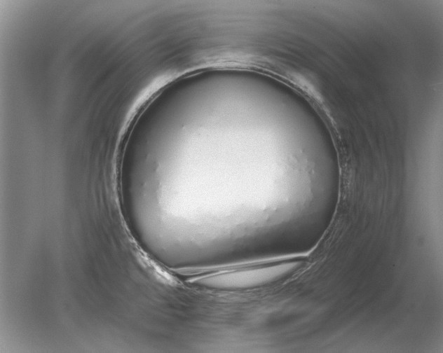 X0000079301480200612011737