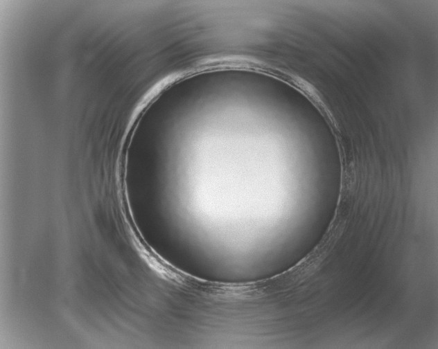 X0000079301482200612011737