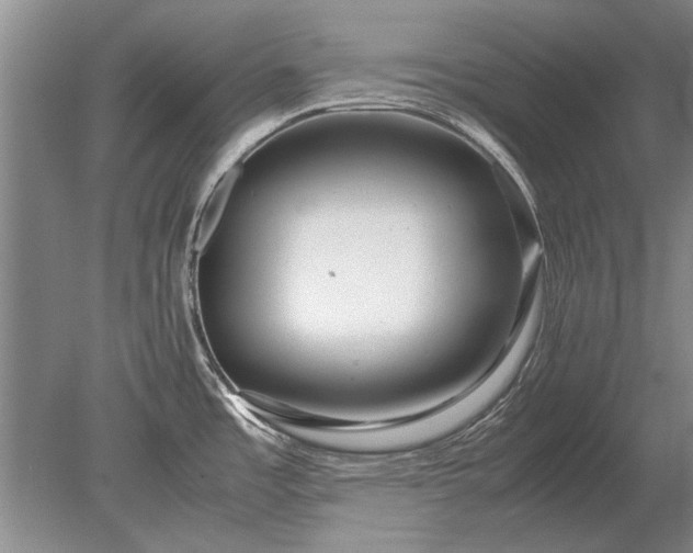 X0000079301485200612011737