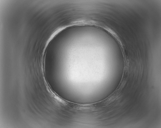 X0000079301486200612011737