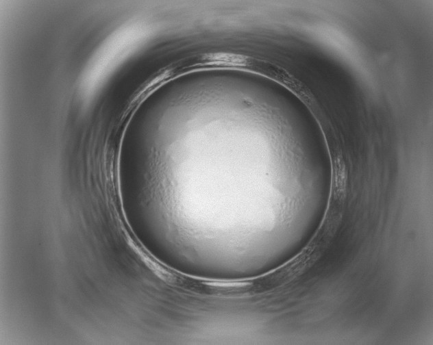X0000079301487200612011737