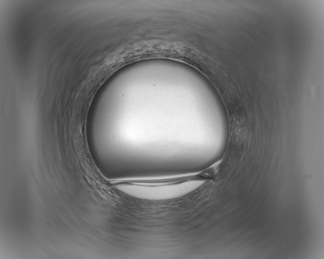 X0000079301489200612011736
