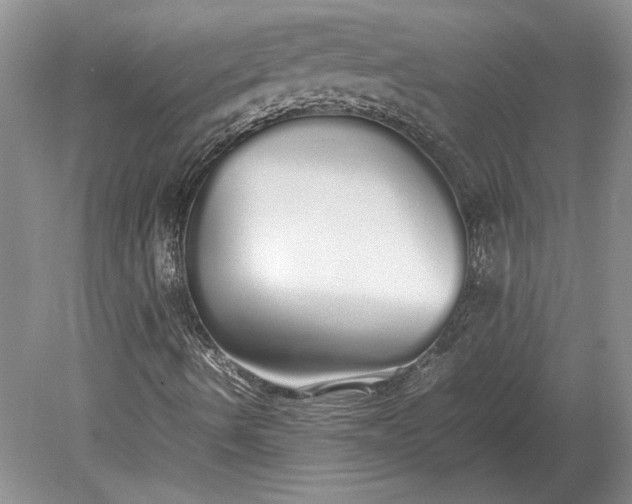 X0000079301490200612011736