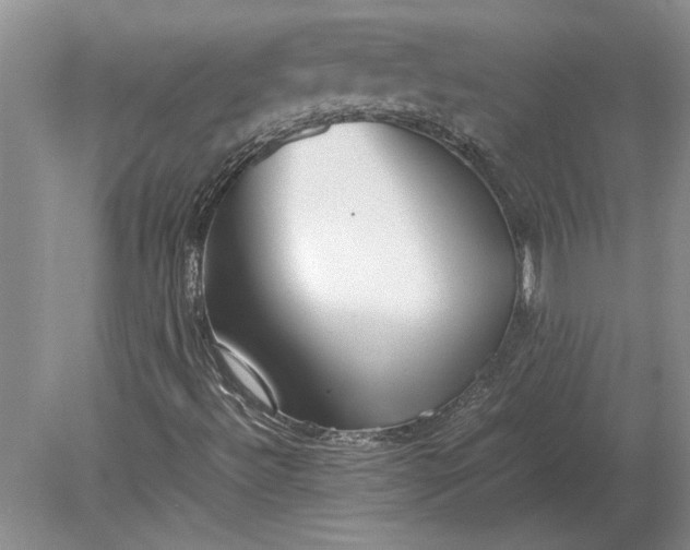 X0000079301492200612011736