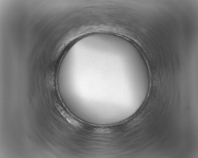 X0000079301499200612011736