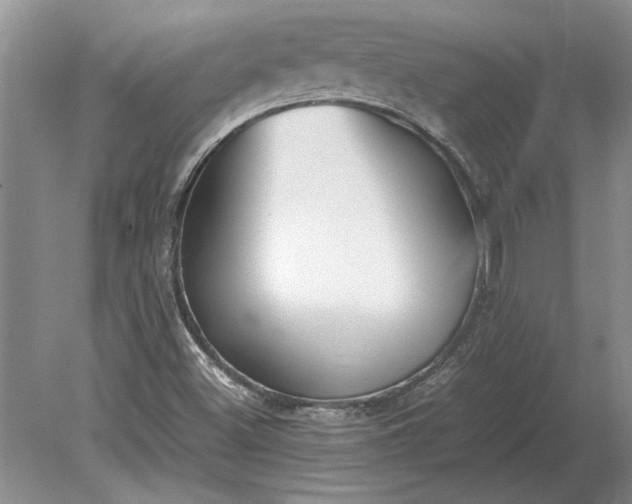 X0000079301500200612011736