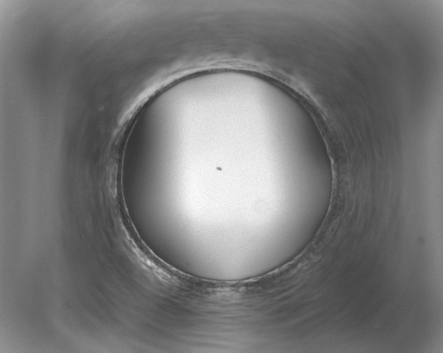 X0000079301504200612011736