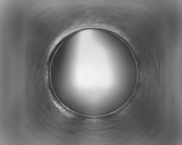 X0000079301511200612011736