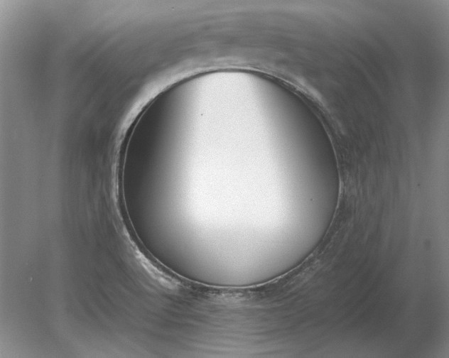 X0000079301512200612011736