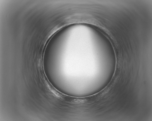 X0000079301513200612011736