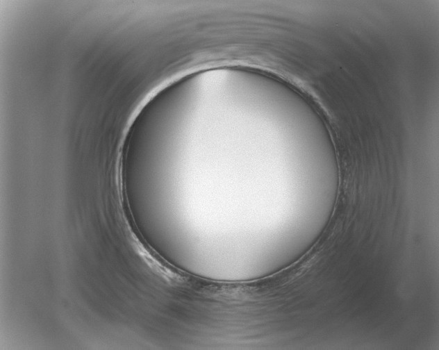 X0000079301516200612011736