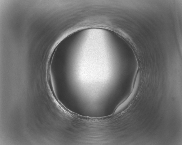 X0000079301520200612011736