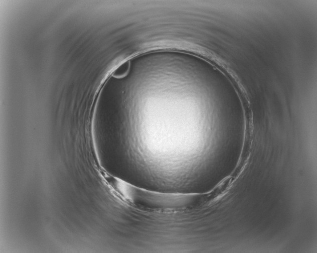 X0000079301529200612011737