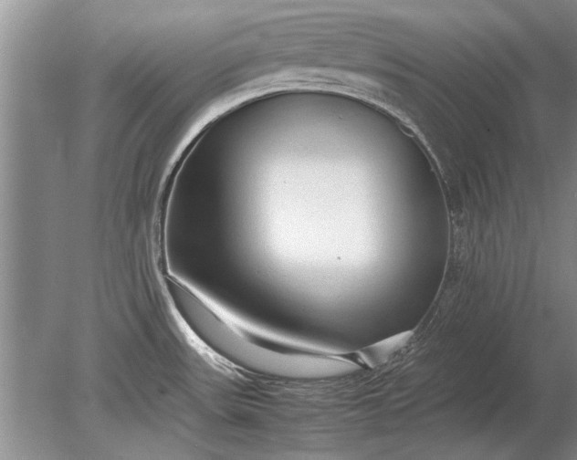 X0000079301531200612011737