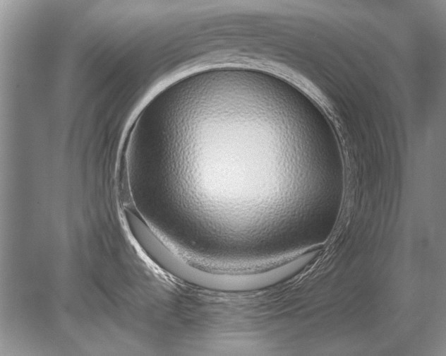X0000079301536200612011737