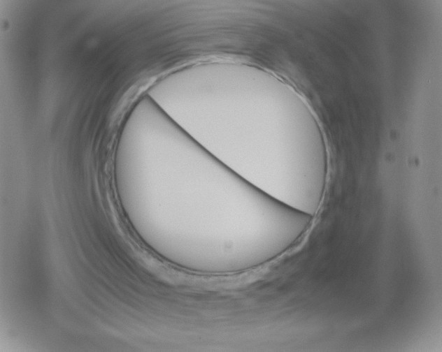 X0000079300001200612081855