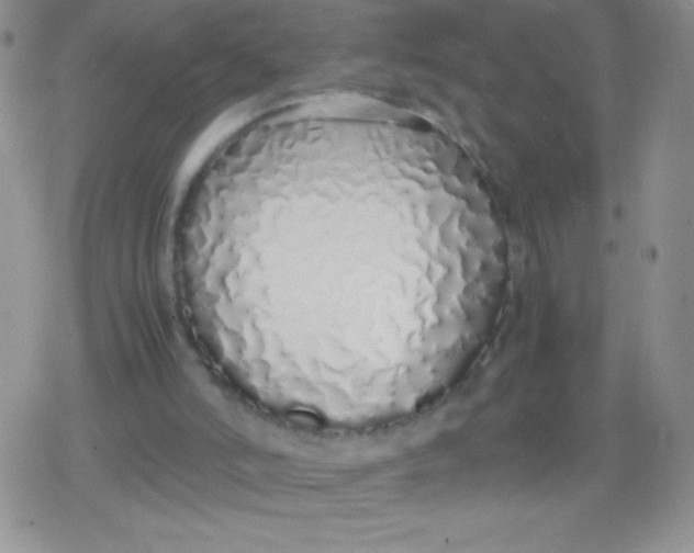 X0000079300006200612081855