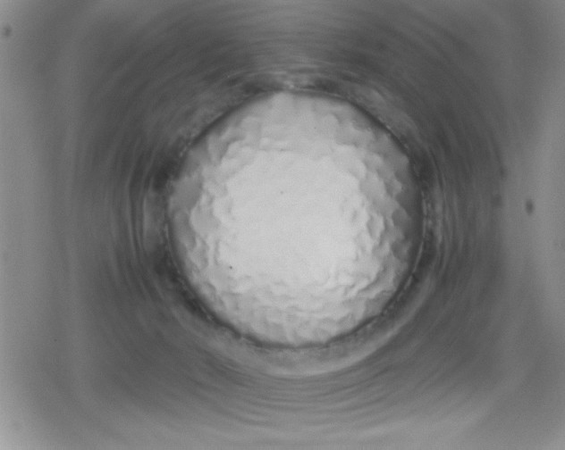 X0000079300030200612081855