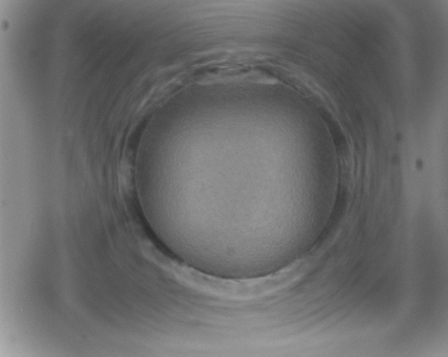 X0000079300035200612081855