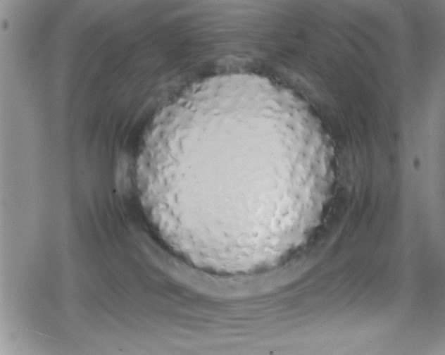 X0000079300038200612081855