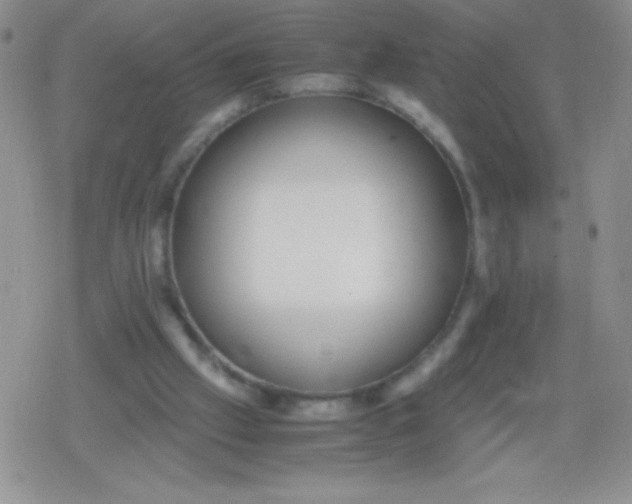 X0000079300057200612081854