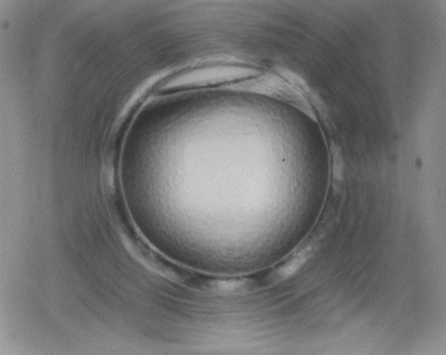 X0000079300060200612081854