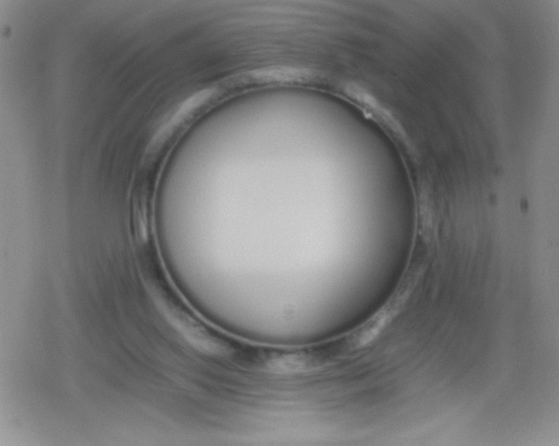 X0000079300062200612081854