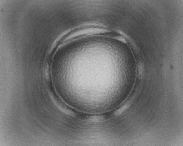 X0000079300064200612081854