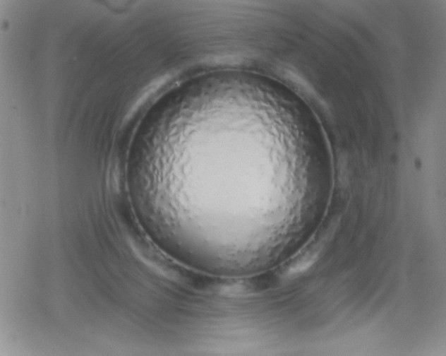X0000079300068200612081854