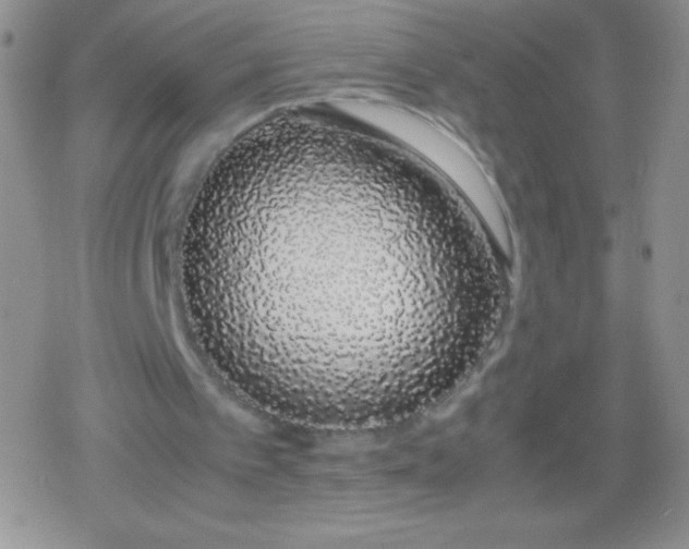 X0000079300097200612081854