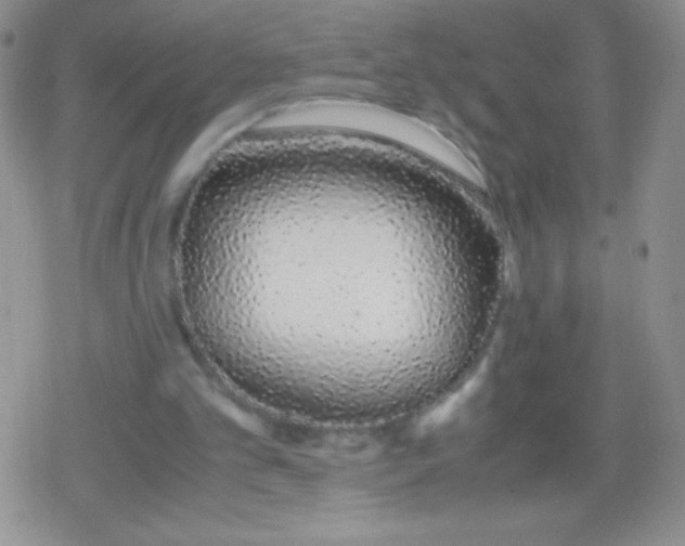X0000079300101200612081854
