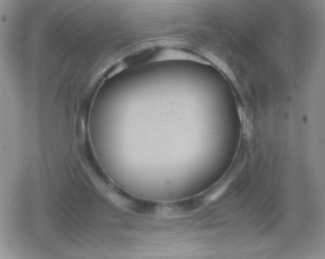 X0000079300109200612081854